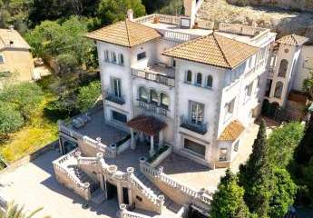 466903-Vorschaubild3