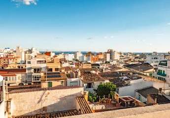 467087-Vorschaubild3