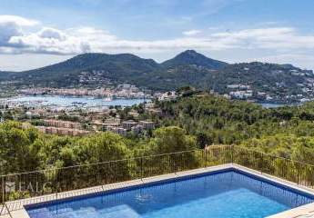 467101-Vorschaubild2