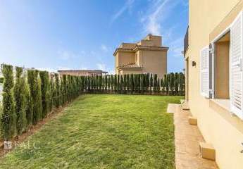 467271-Vorschaubild4