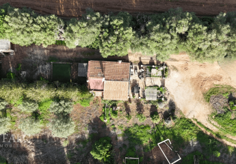 458123-Vorschaubild3