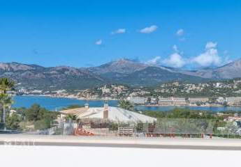 467502-Vorschaubild3