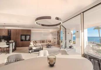 467776-Vorschaubild3