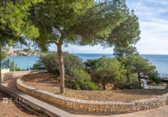 467945-Vorschaubild2