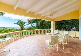 467961-Vorschaubild3