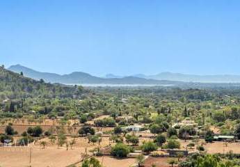 467974-Vorschaubild2