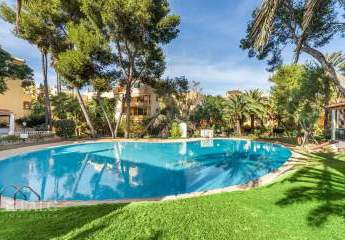 467980-Vorschaubild3