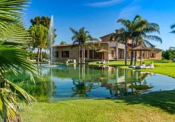 467984-Vorschaubild2