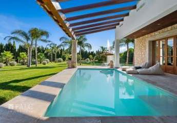 467984-Vorschaubild3