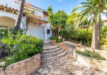 467987-Vorschaubild2