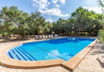 467991-Vorschaubild2