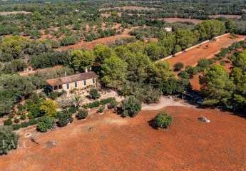 467991-Vorschaubild3