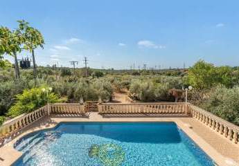 467992-Vorschaubild2