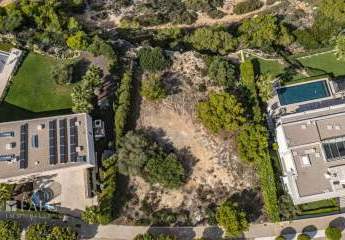 468006-Vorschaubild4