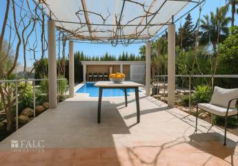 450387-Vorschaubild2