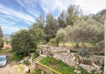 468256-Vorschaubild4