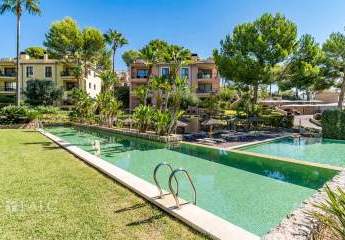 468324-Vorschaubild2