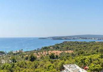 468343-Vorschaubild4