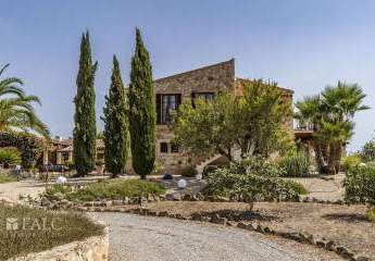 468352-Vorschaubild4