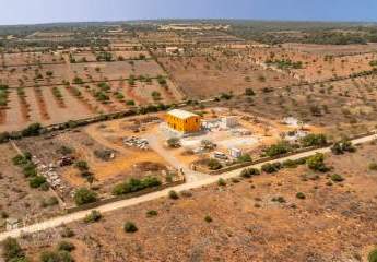 468356-Vorschaubild2