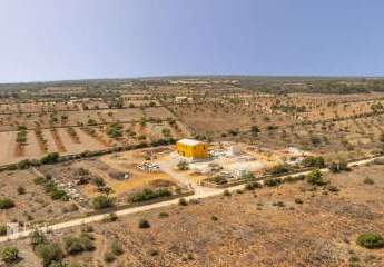 468356-Vorschaubild3