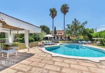 468378-Vorschaubild2