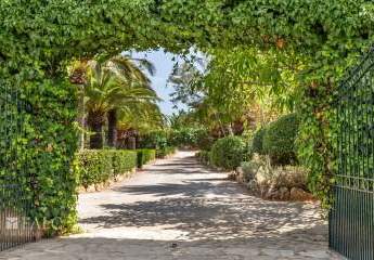 468378-Vorschaubild4