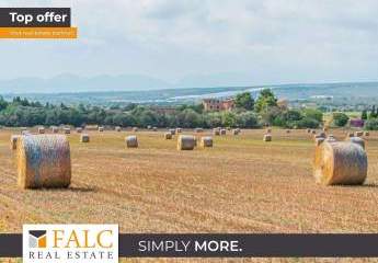 Wunderschönes Grundstück von 200.000 m2 neben dem Golfplatz Son Gual