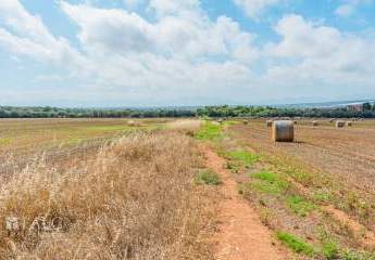 468383-Vorschaubild2