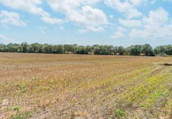 468383-Vorschaubild3