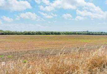 468383-Vorschaubild4