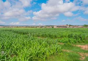 468384-Vorschaubild3