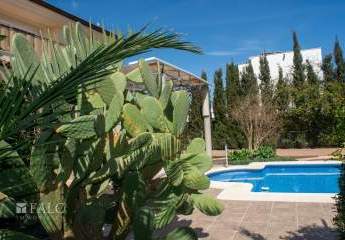 450387-Vorschaubild4