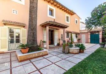 468563-Vorschaubild3