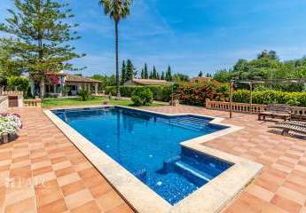 468564-Vorschaubild2