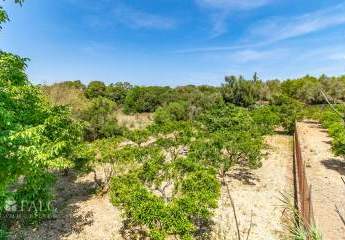 468564-Vorschaubild3