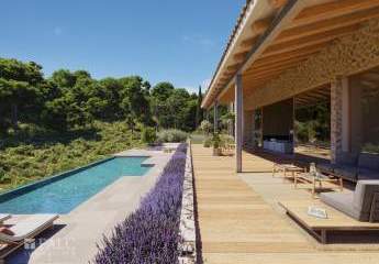 468672-Vorschaubild2