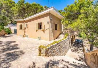 468676-Vorschaubild2