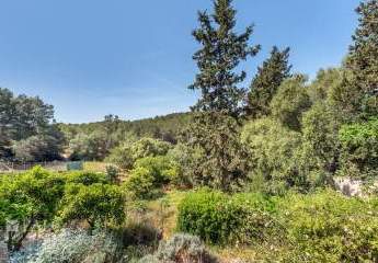 468681-Vorschaubild2