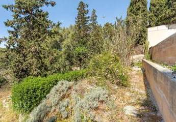 468681-Vorschaubild3