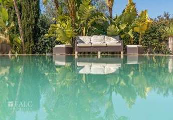 466882-Vorschaubild2