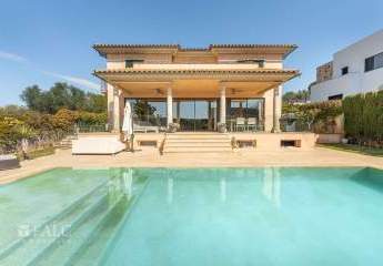 466882-Vorschaubild3