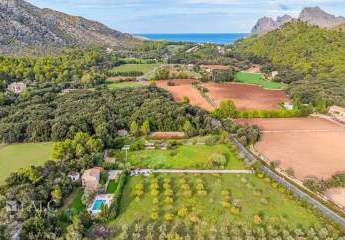 469152-Vorschaubild2