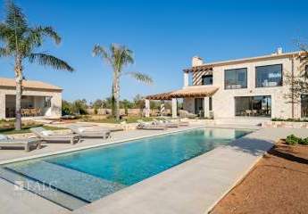 469260-Vorschaubild2