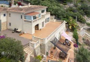 469325-Vorschaubild2