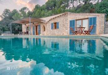 469352-Vorschaubild2