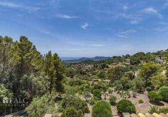 469449-Vorschaubild2