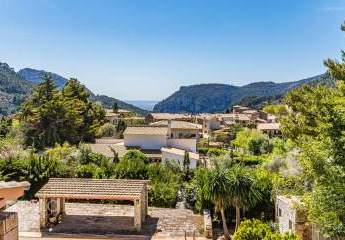 469455-Vorschaubild2