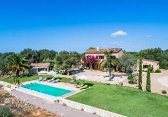 470281-Vorschaubild3