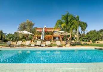 470281-Vorschaubild4